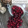 Low Carb Dried Cranberries