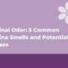 Vaginal Odor: Smells, Causes & Treatments