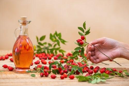 does rose hip seed oil clog pores