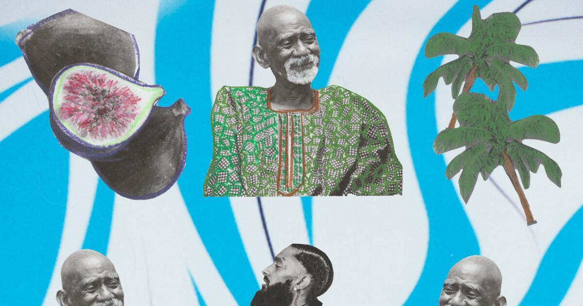 dr sebi cure for heroes