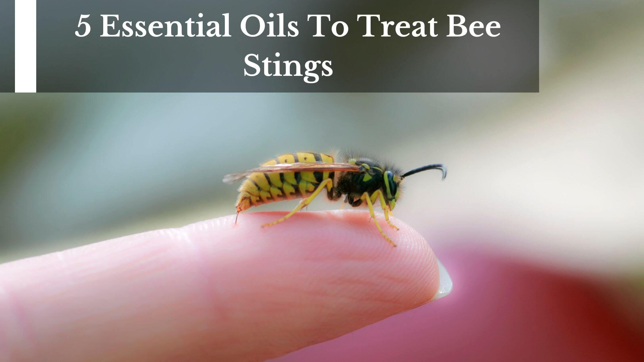 essential oils for bee sting