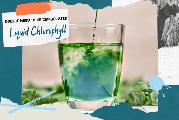 how long does chlorophyll last in the fridge