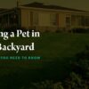 Burying a Pet in Your Backyard: Everything You Need to Know