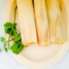 Pork Tamale Nutrition Facts: How Many Calories and How Much Protein?