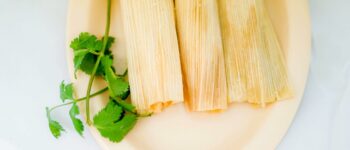 Pork Tamale Nutrition Facts: How Many Calories and How Much Protein?