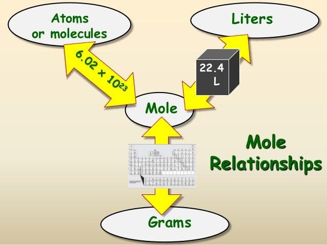 Image result for mole relationships