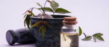 Neem Oil for Pets: Is It Safe?