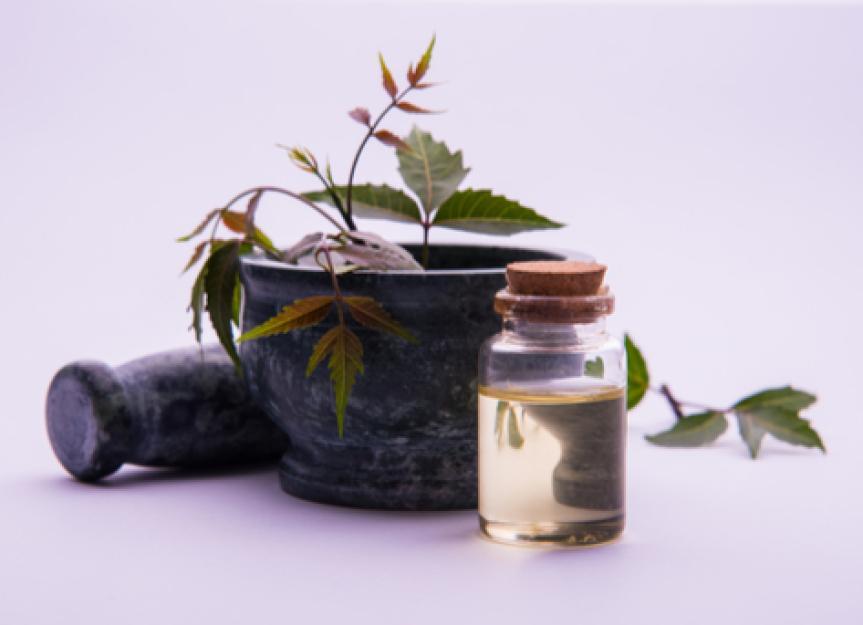 how to dilute neem oil for cats