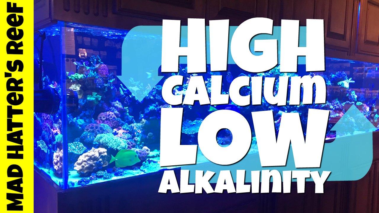 how to lower calcium in reef tank