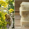 Goldenrod Soap Recipe