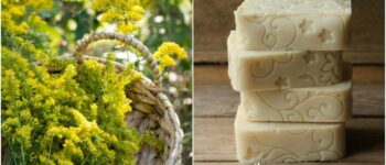 Goldenrod Soap Recipe