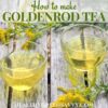 How to Make Goldenrod Tea (Goldenrod Tea Recipe)