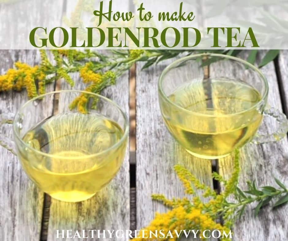 how to make goldenrod tea