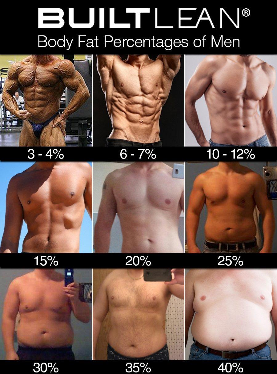 body fat percentages men chart