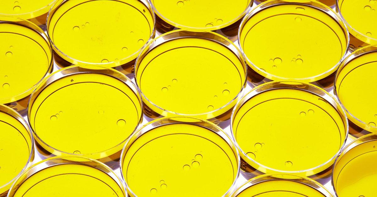 The 10 Best and Worst Oils For Your Health