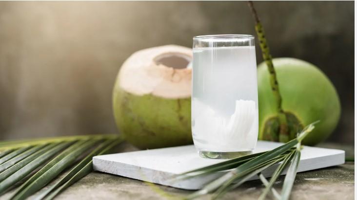 Is Coconut Water Good for Ulcer Treatment?