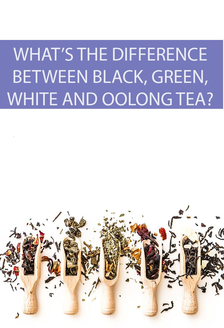 The four “real” teas are black, green, white, and oolong. What are the similarities and differences that separate these four amazing beverages?