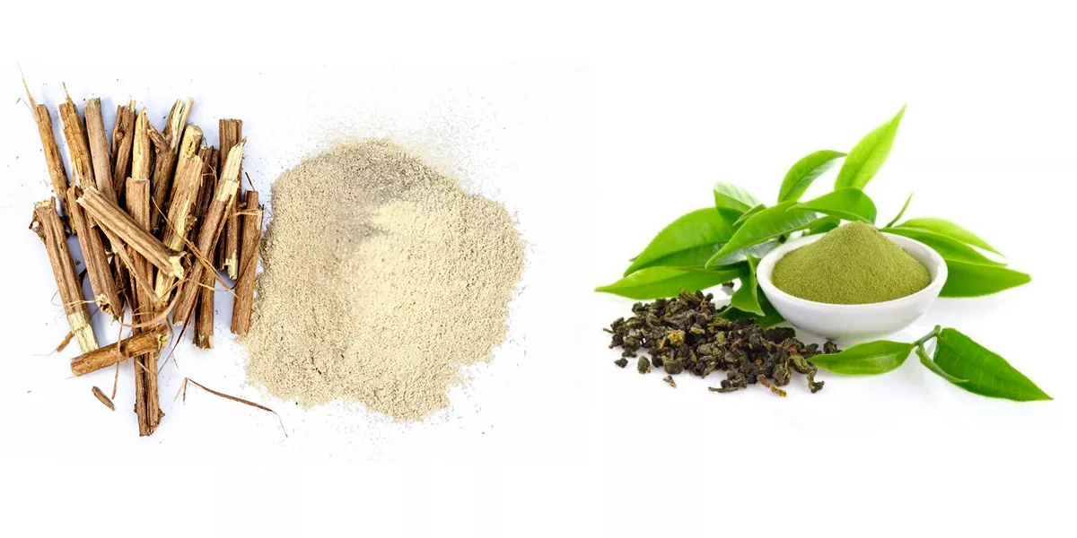 l-theanine and ashwagandha together