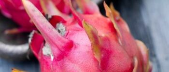 What is Dragon Fruit? Life Cycle of Dragon Fruit