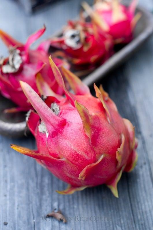 life cycle of a dragon fruit