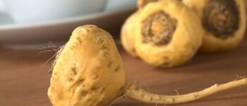 Maca Root - the best hormonal acne treatment