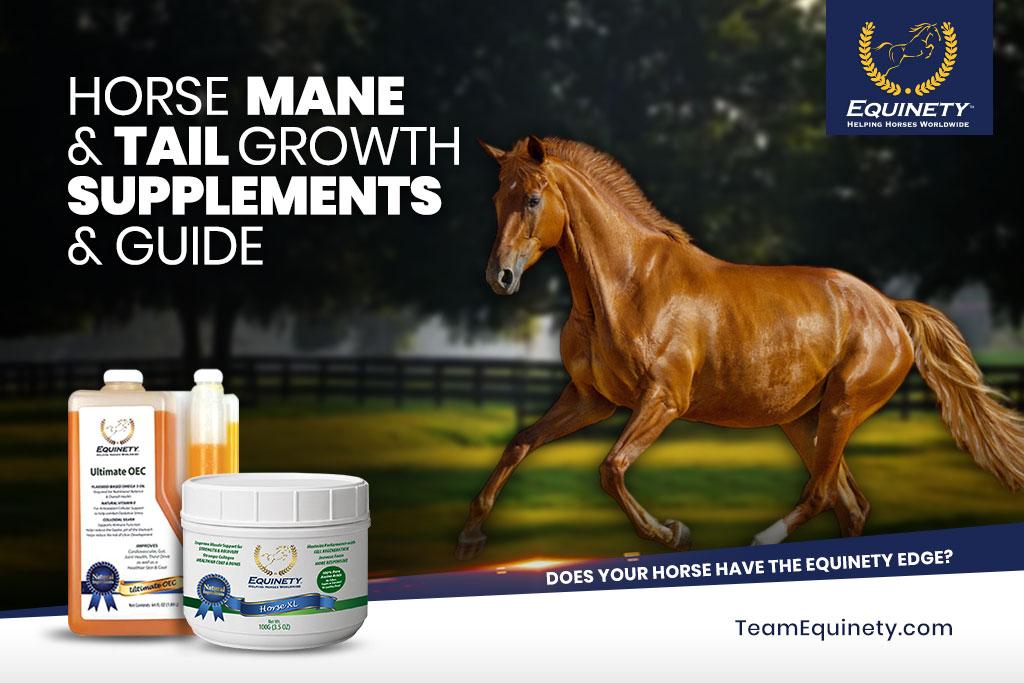 mane and tail growth supplements for horses