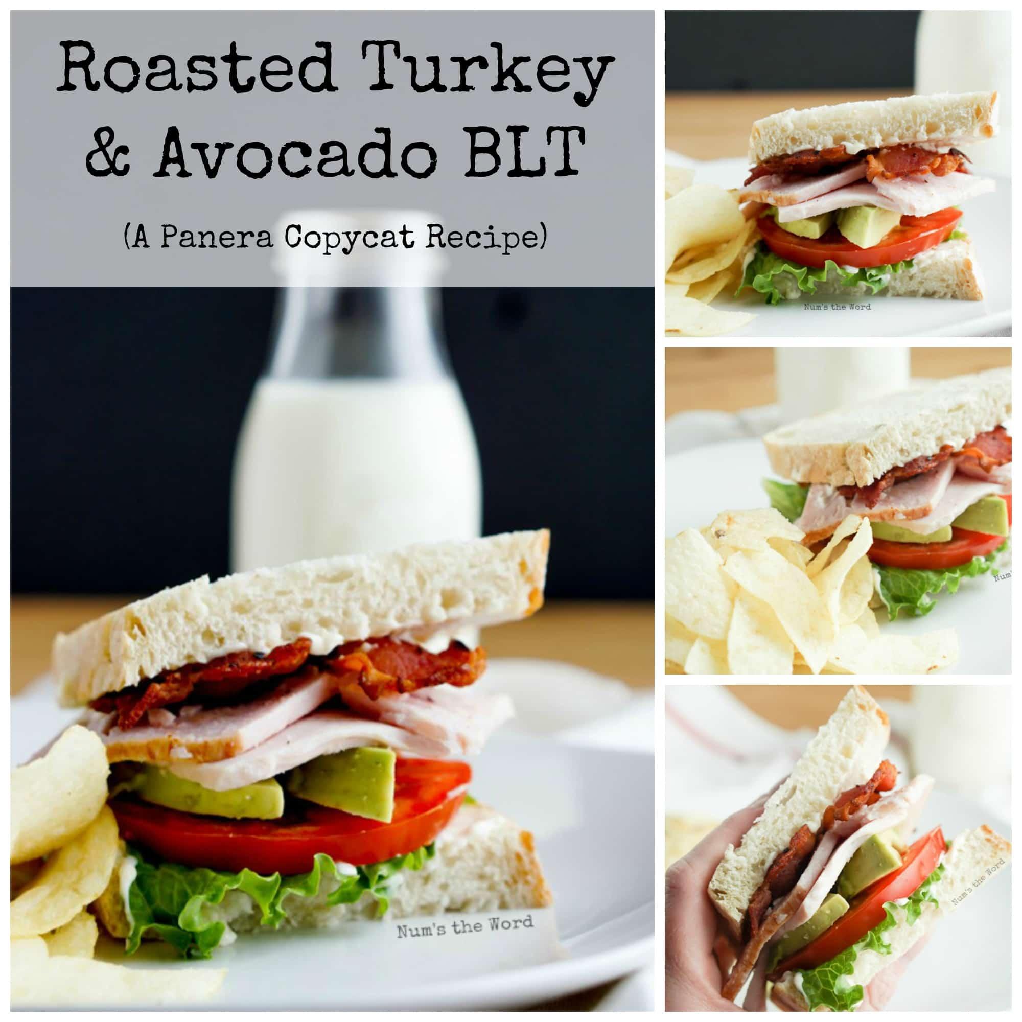 panera turkey avocado blt calories