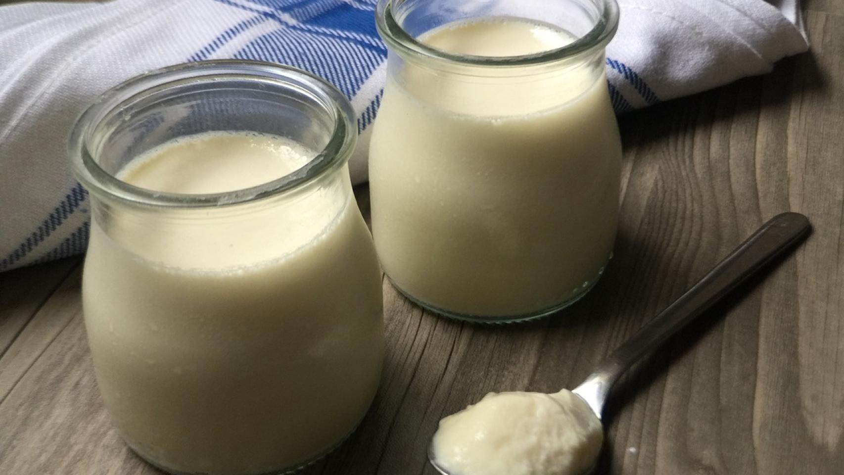 que yogur puede comer un diabetico