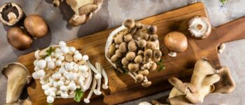 The Medicinal Mushrooms You Should Be Taking to Improve Your Health