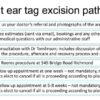 Preauricular skin tag / accessory tragus