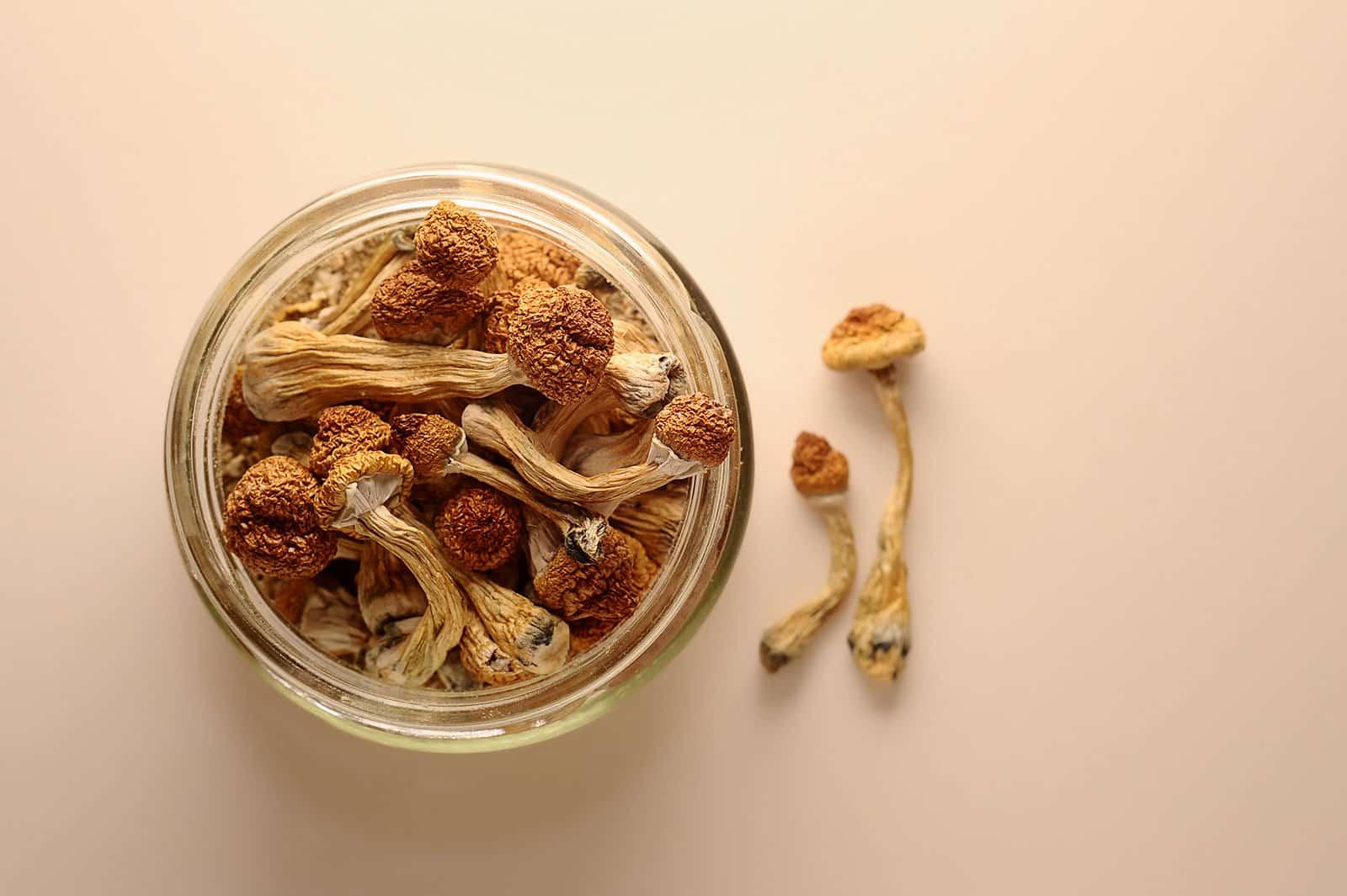 take shrooms on empty stomach