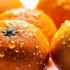 Té de Cáscara de Mandarina: El Remedio Natural para un Sueño Reparador