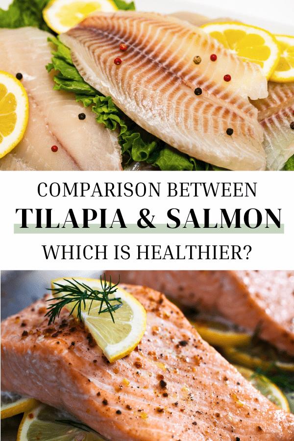 tilapia vs salmon nutrition facts