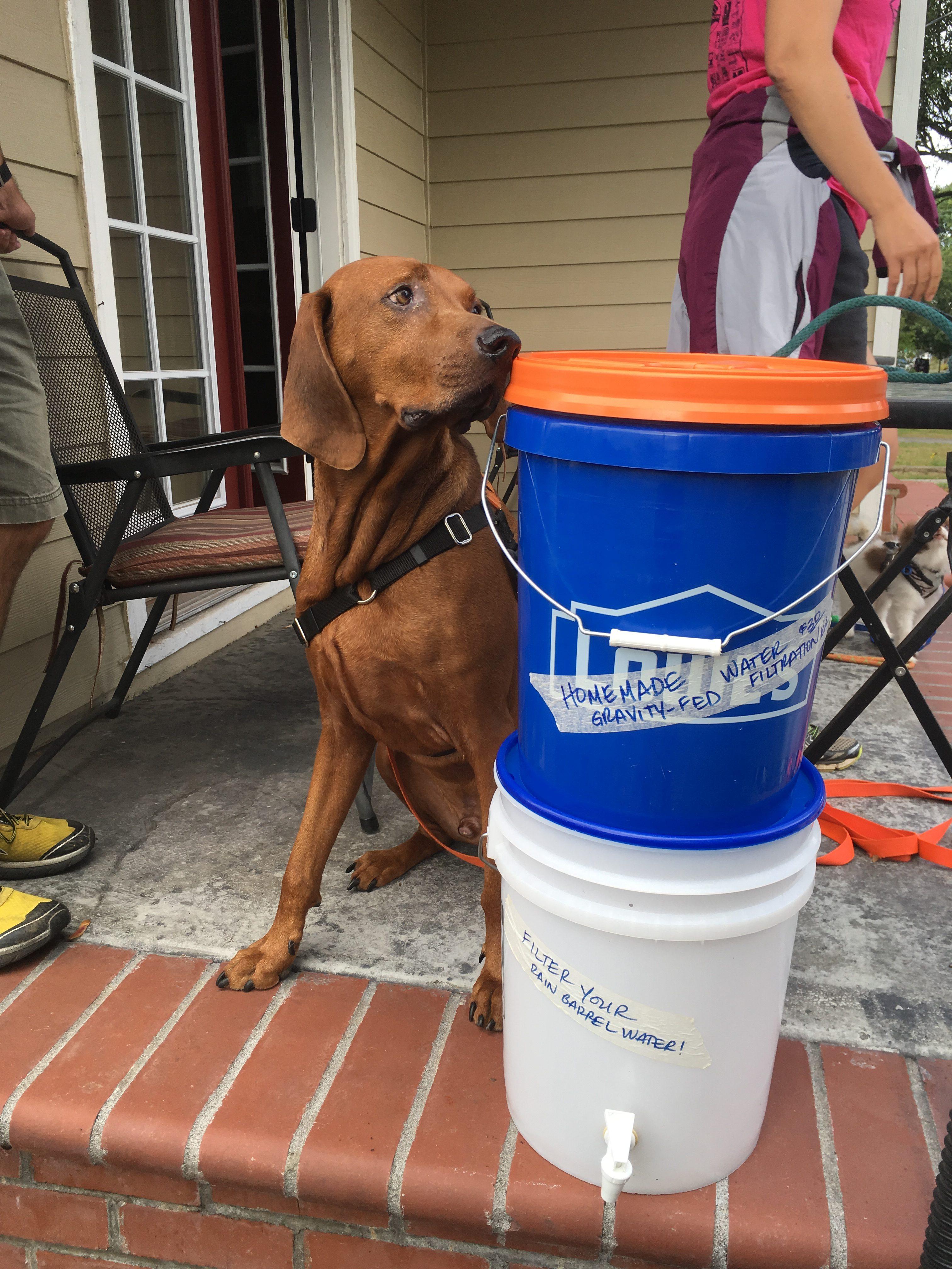 two bucket water filtration system