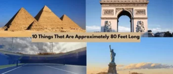 10 Things That Are Approximately 80 Feet Long