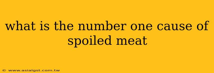 what is the number-one cause of spoiled meat