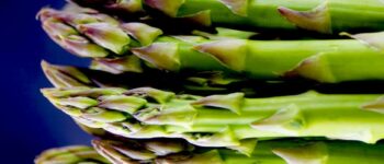 Asparagus From A to Z: 26 Things to Know