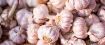 I’m making the case for jarred garlic – really!