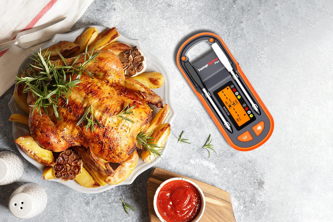 where to place meat thermometer in chicken