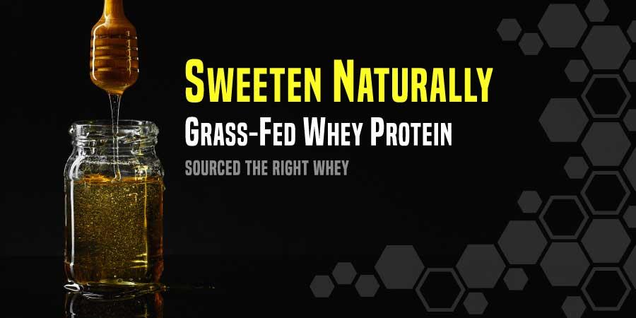 whey protein powder without sucralose