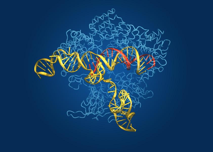 which of the following statements about enzyme function is correct