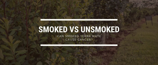 yerba mate smoked vs unsmoked